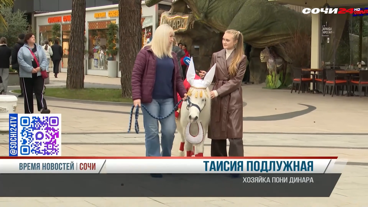    Фото: Сочи24