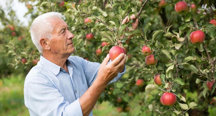    нейросеть GС