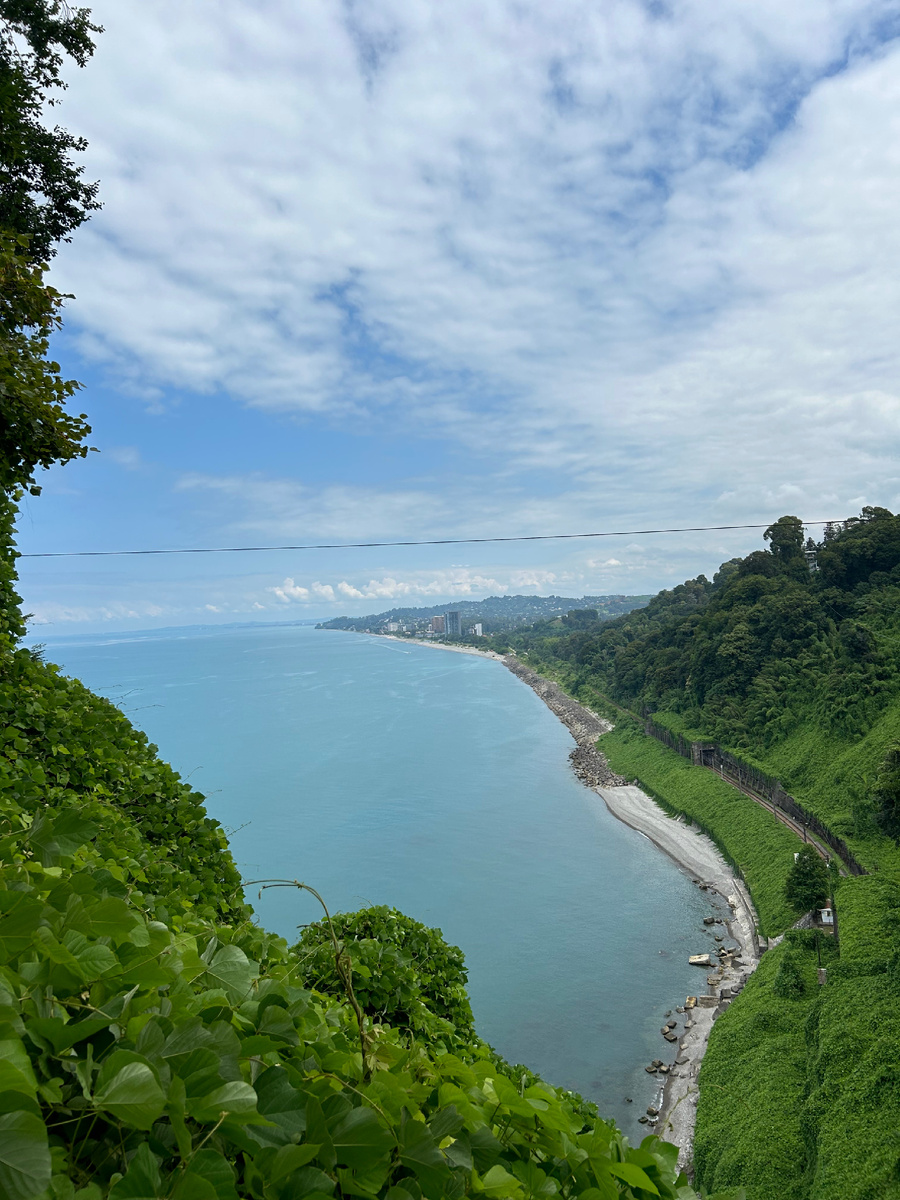 Вид на побережье с Ботанического сада Батуми