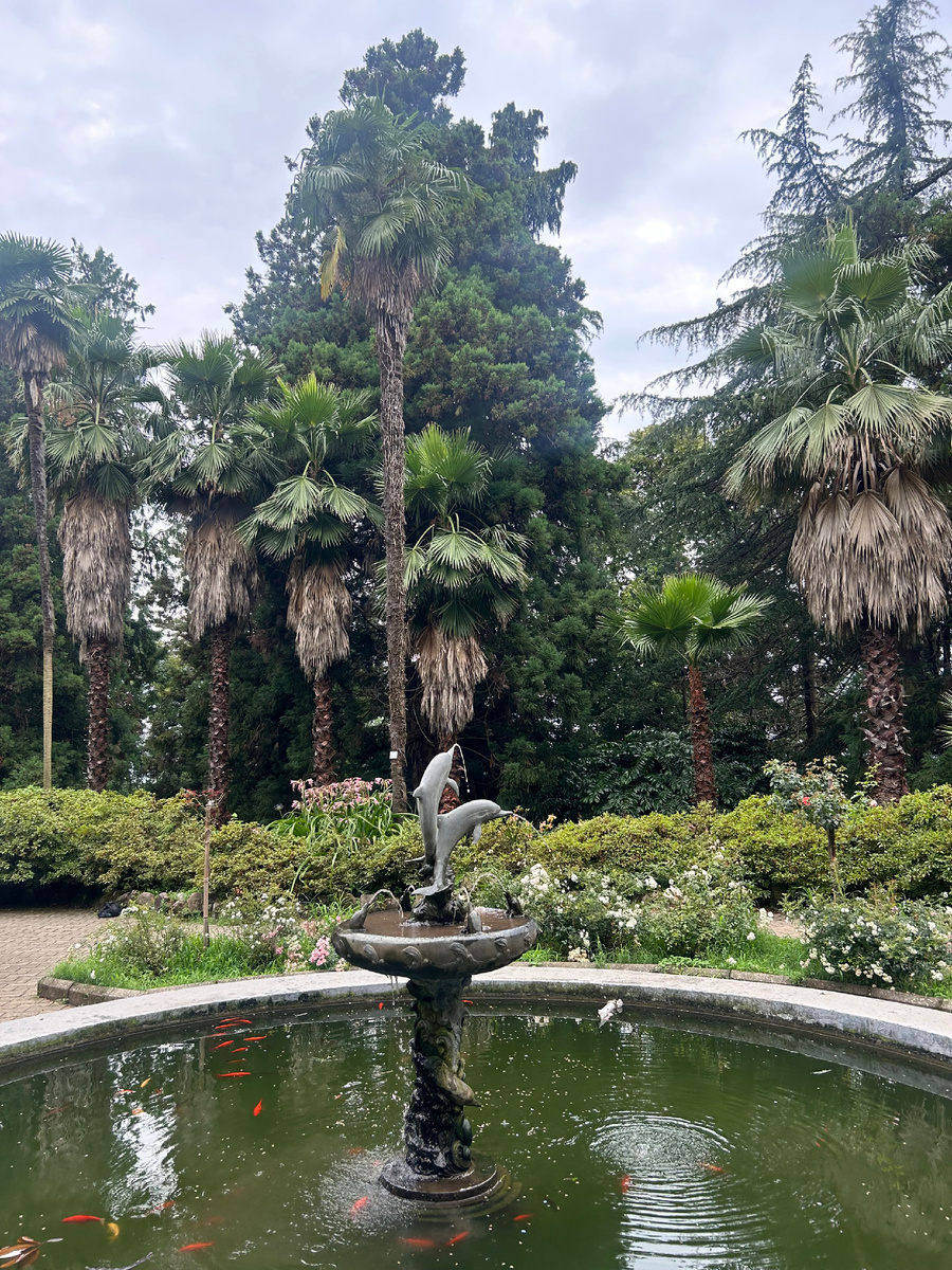 Ботанический сад