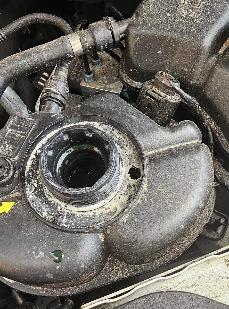 Источник: Reddit, пользователь ab0wl0fc3r3al