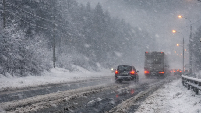 Фото: Изображение сгенерировано при помощи нейросети