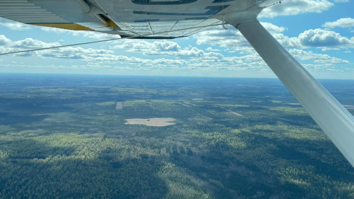 Фото: пресс-служба Минлесхоза РТ