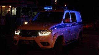    Элина Болдырева Юлия Виноградова