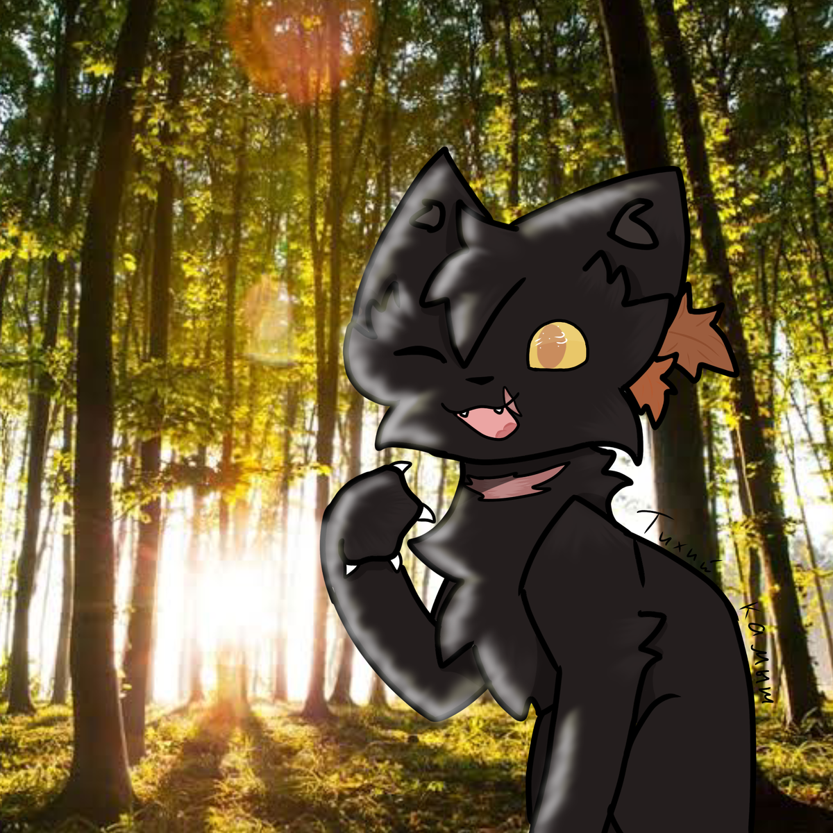 Тихий кашыш кв🐾