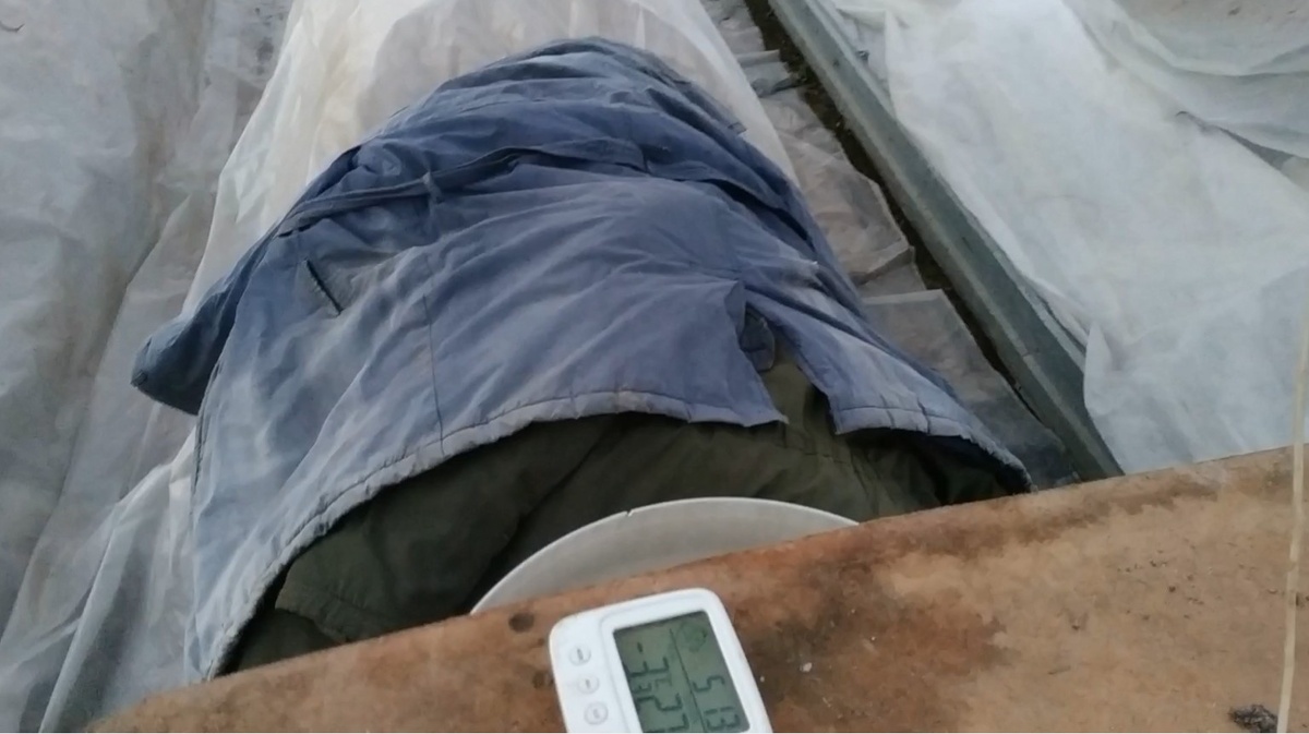 Кадр из видео. Грядки-термос в теплице при температуре -3С в 5 утра. Рассада не пострадала.