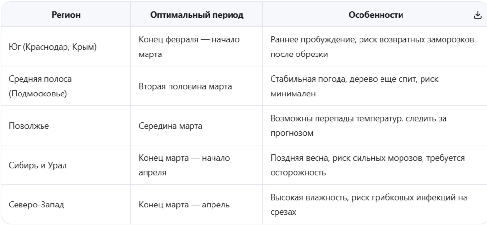 Региональные корректировки сроков