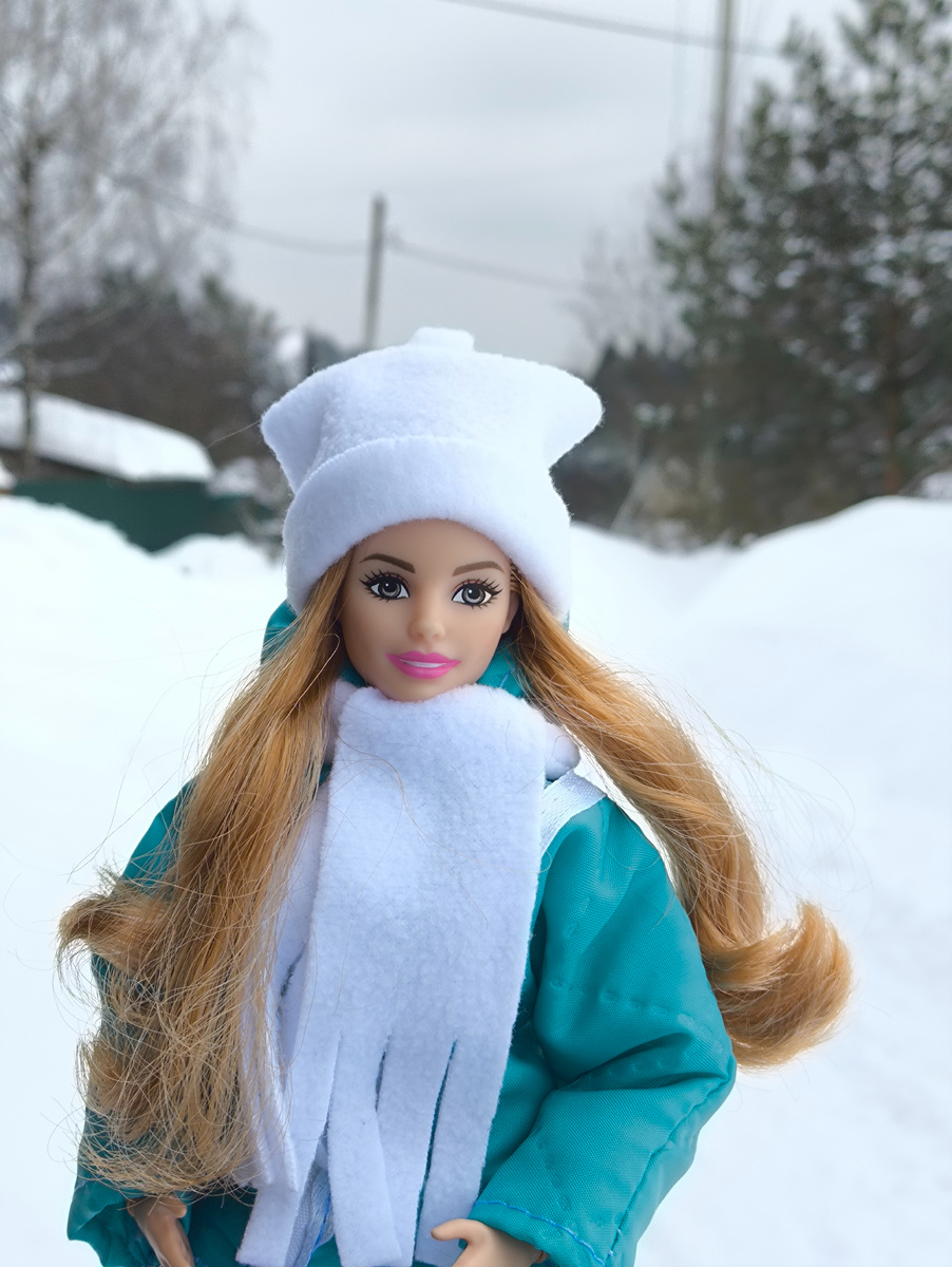 Деревня, заВАЛЛИная снегом циклоном Валли). 