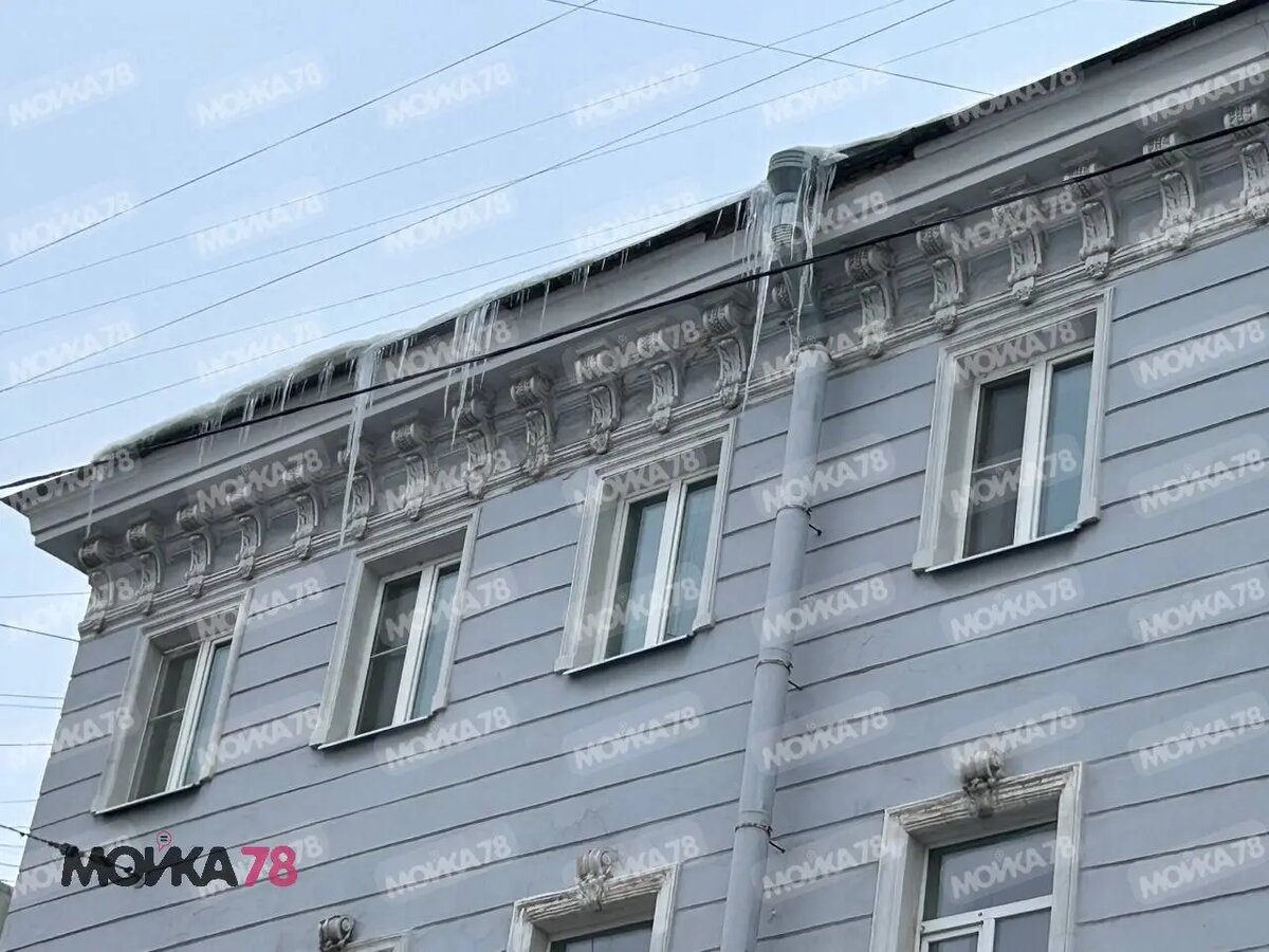    Фото: читательница Мойки78