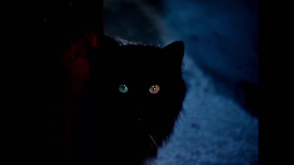 Кадр из фильма «Морозко»