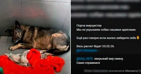 Источник https://avatars.mds.yandex.net/i?id=2a0000019c906347e166eb9108acb25091d4-400137-fast-images&n=13