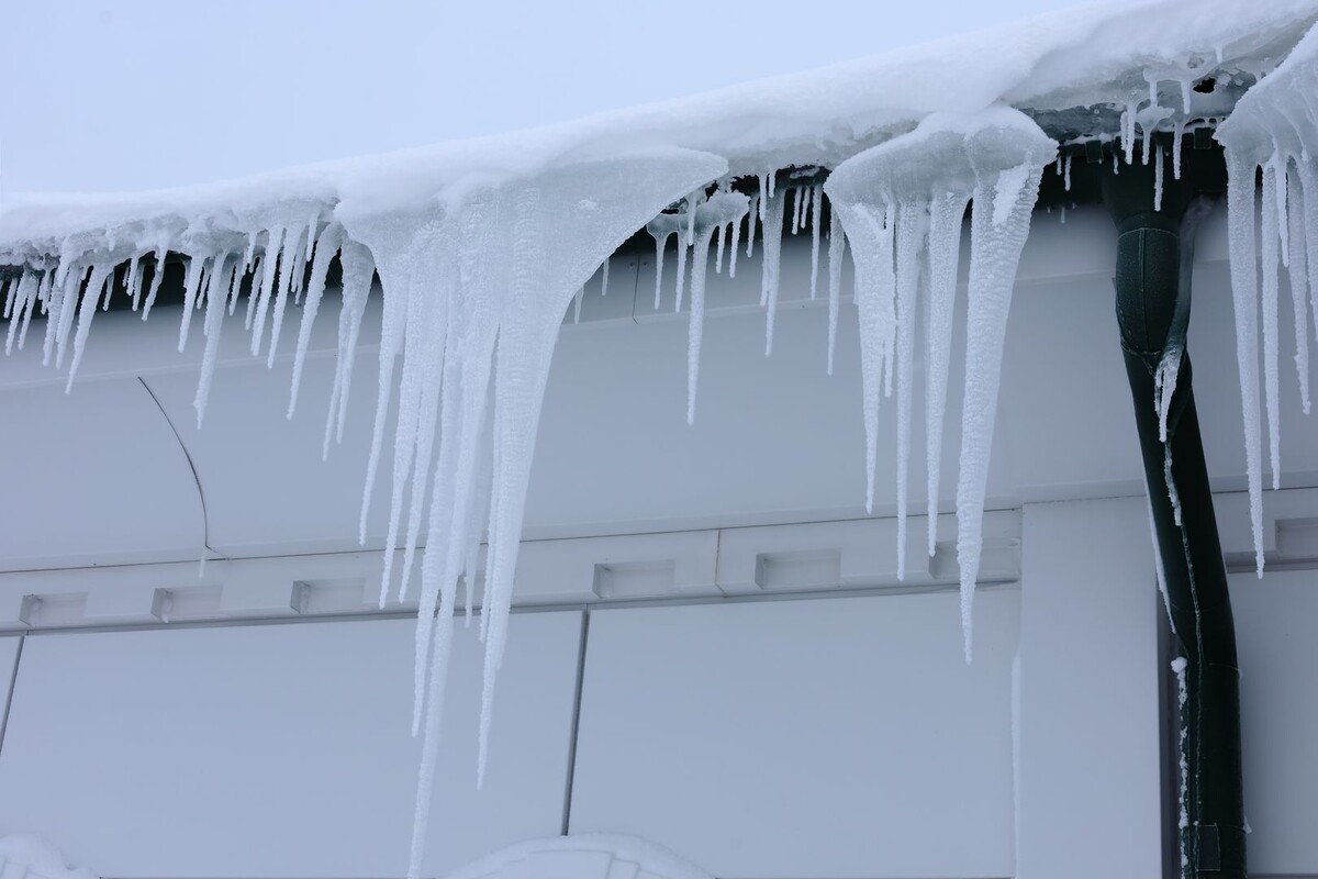     / Источник: © Elena Mayorova/Global Look Press