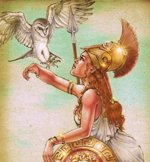 Рисунок богиня Афины и её совы