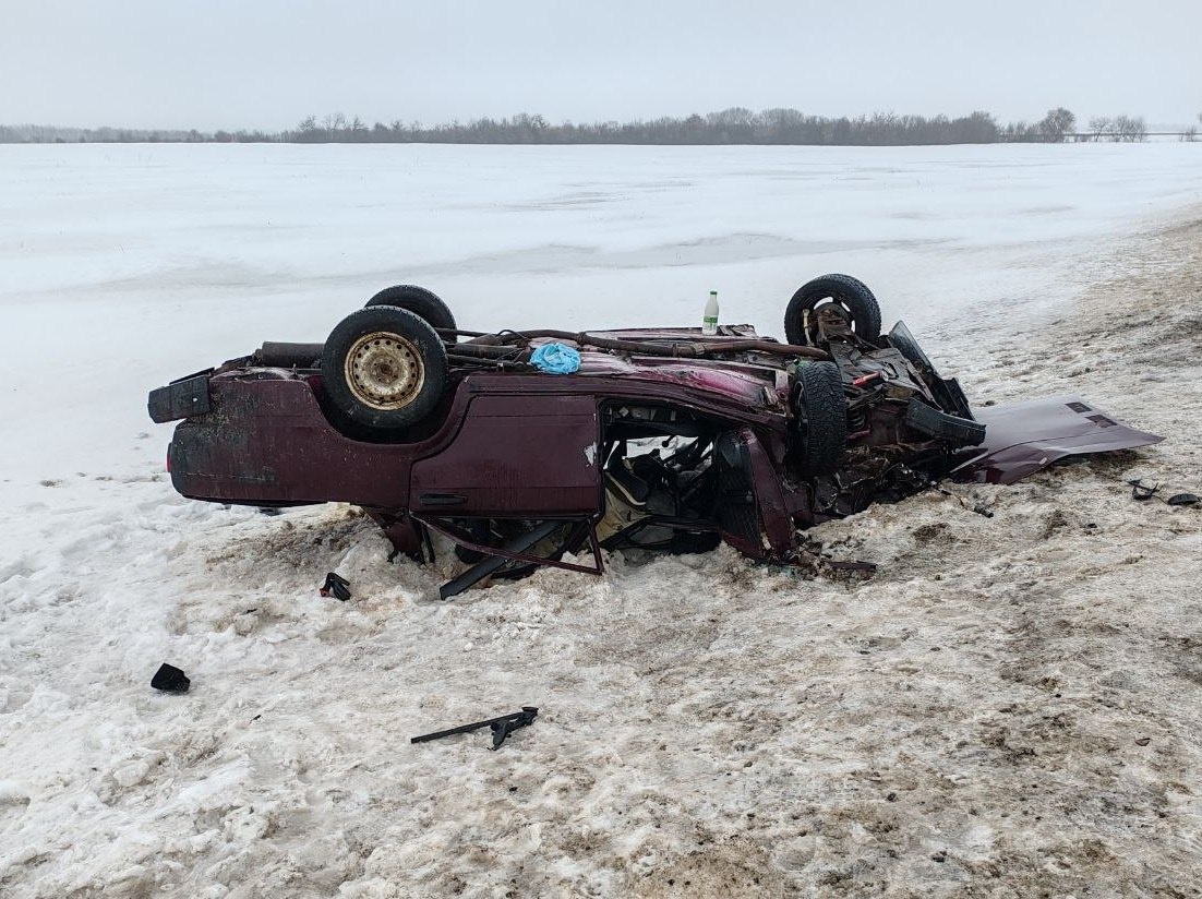     Фото: управление МВД