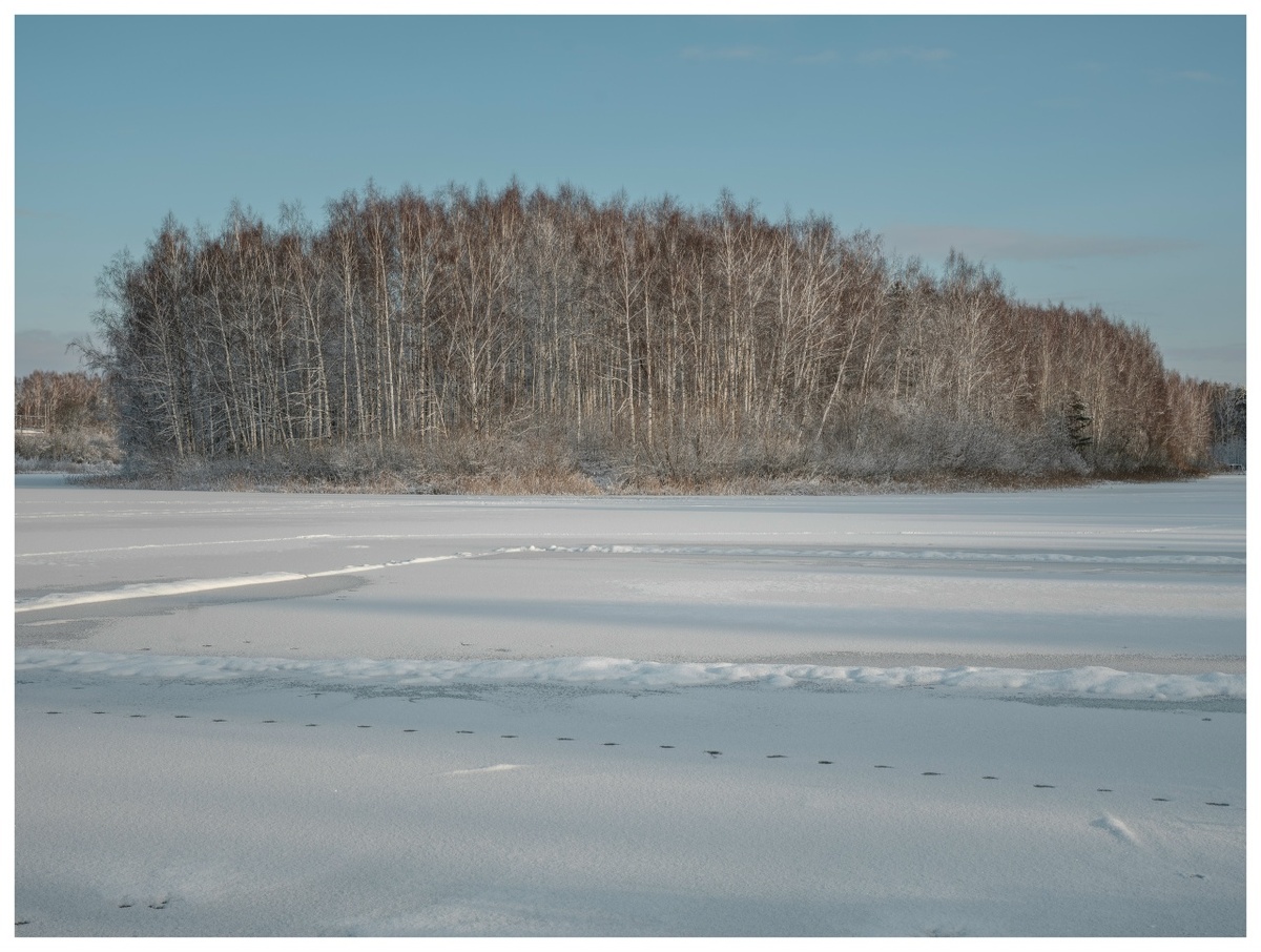    Фото: Андрей Федоскин Юра Белый