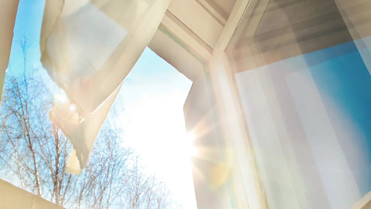    Фото: vm.ru Андрей