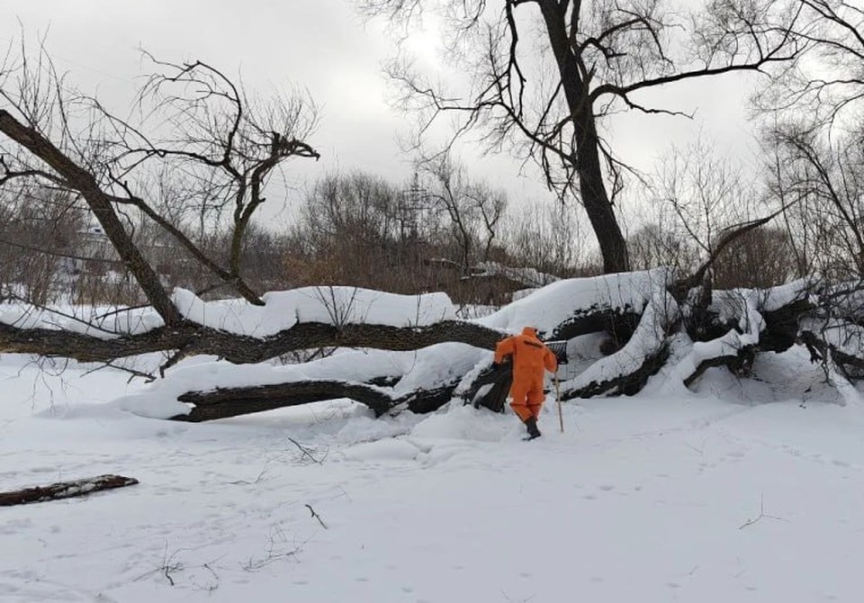    В Ульяновске благополучно устранена угроза подтопления Вырыпаевки из-за упавших в реку деревьев. ФОТО: тг-канал администрации Ульяновска