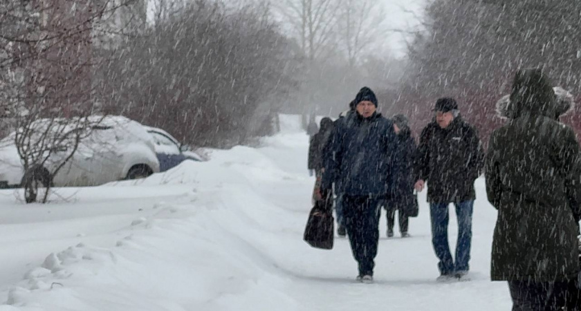    Фото prochepetsk.ru