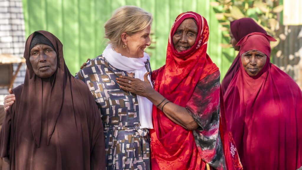 Софи в Сомали. 
Социальные сети королевской семьи