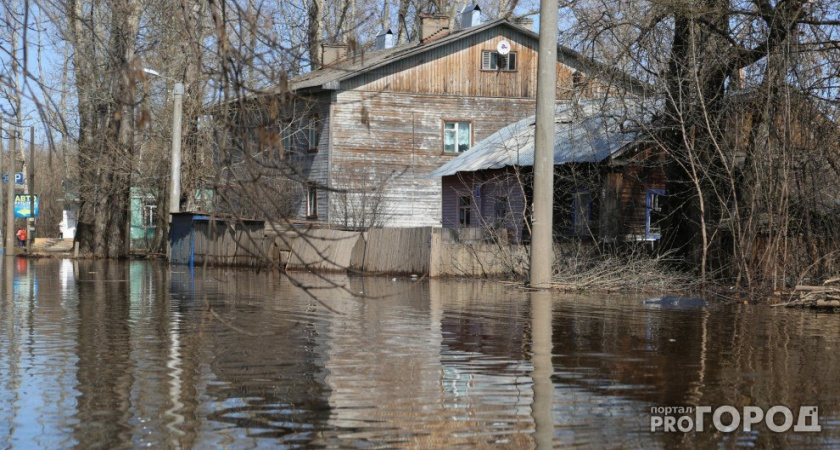    Фото: progorod43.ru