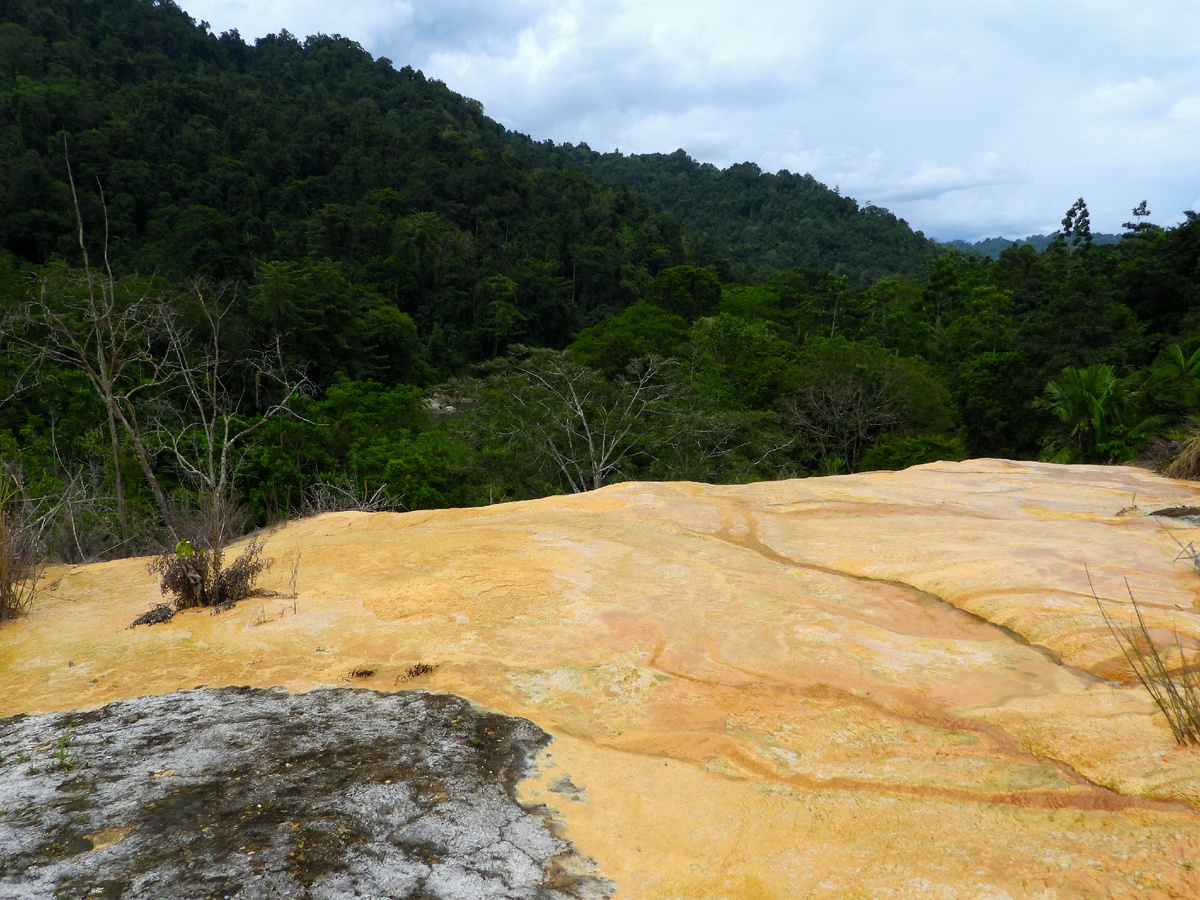 Это место выхода горячих вод в лесу Hungayono, где рядом гнездятся малео.