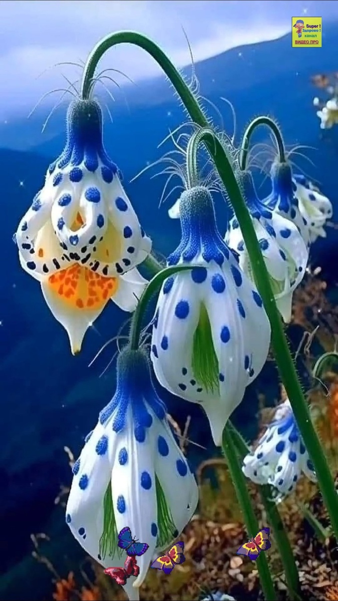 Любуемся природой красоты