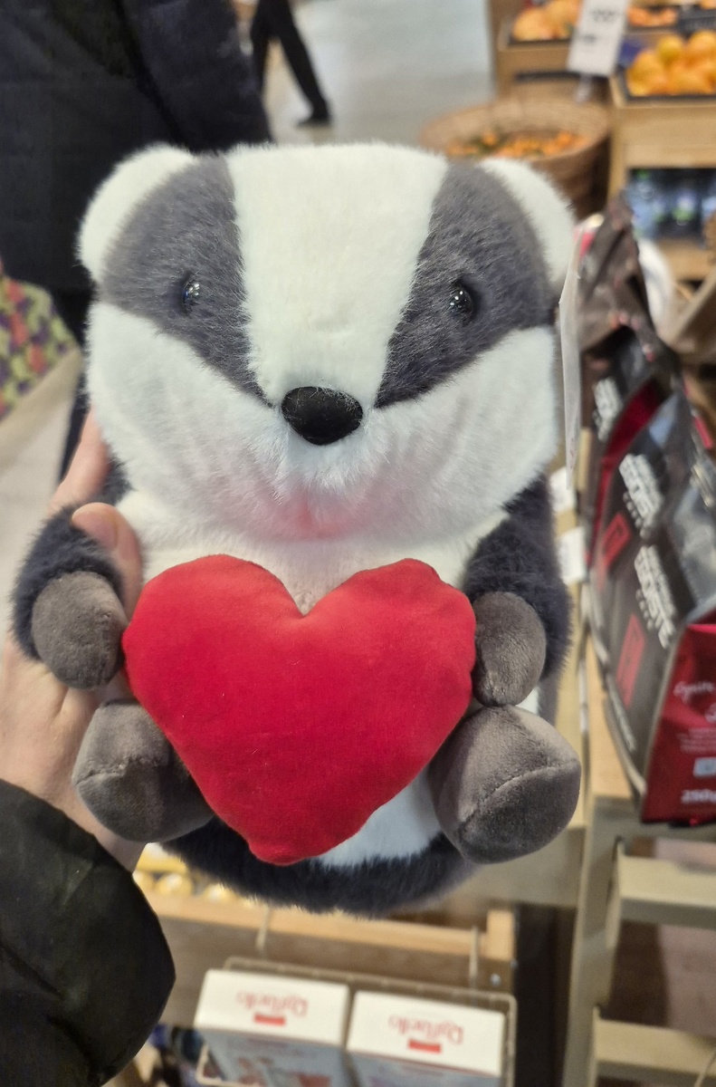 барсучок в магазине