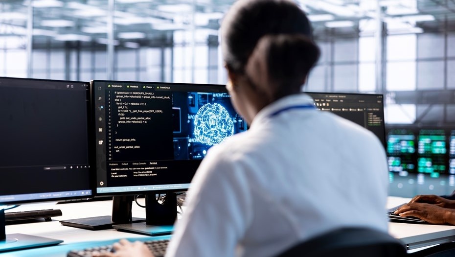    Автор фото: DC Studio/shutterstock.com