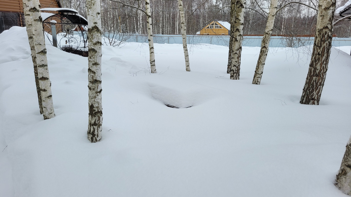 Чёрная полоска - это край стола.