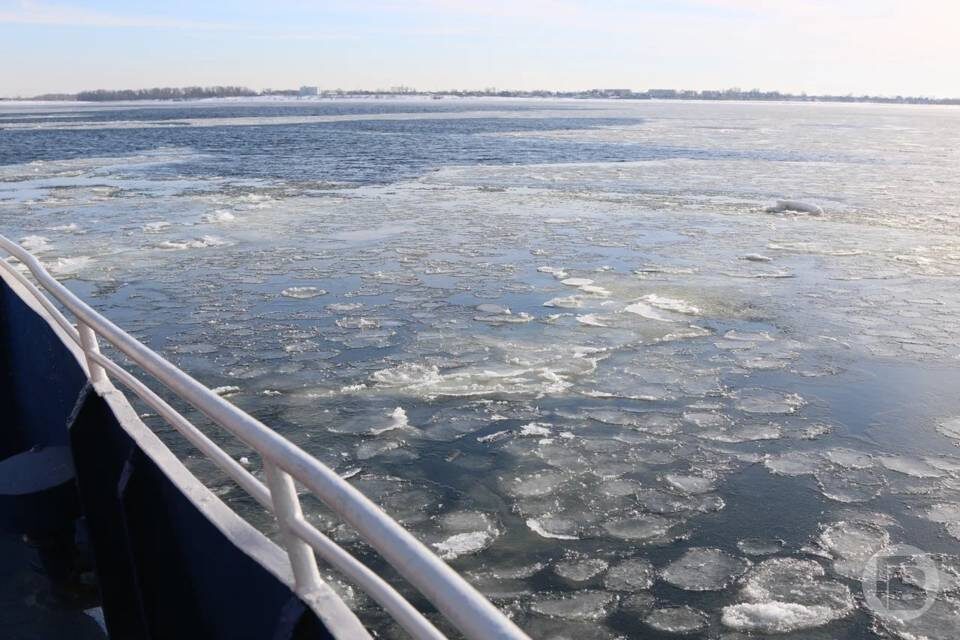    фото: Матвей Горбунов / "Городские вести"