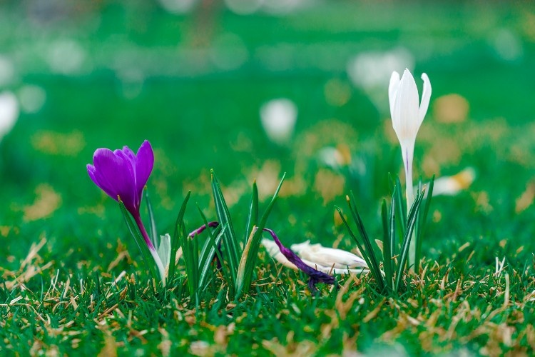    Фото: «Кубань Информ»