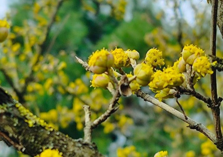    Фото: t.me/park_galitskogo