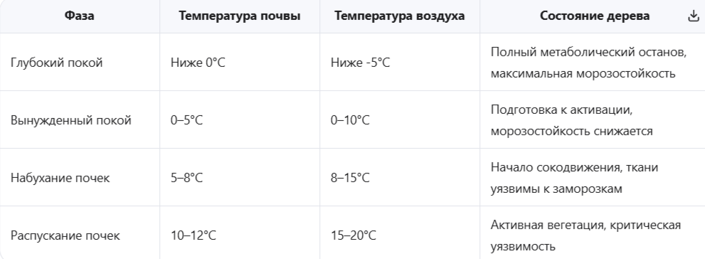 Фазы пробуждения дерева: