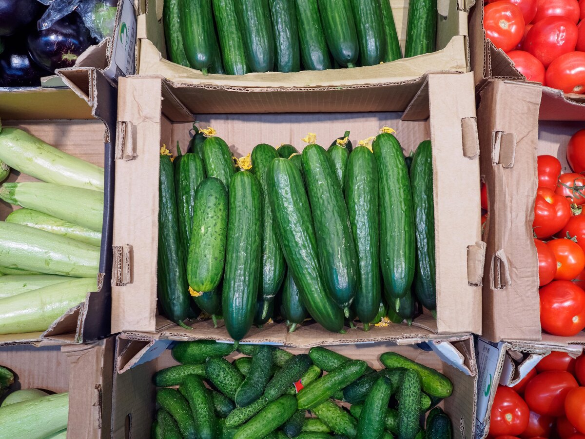    фото: woodHunt/Shutterstock/Fotodom.ru