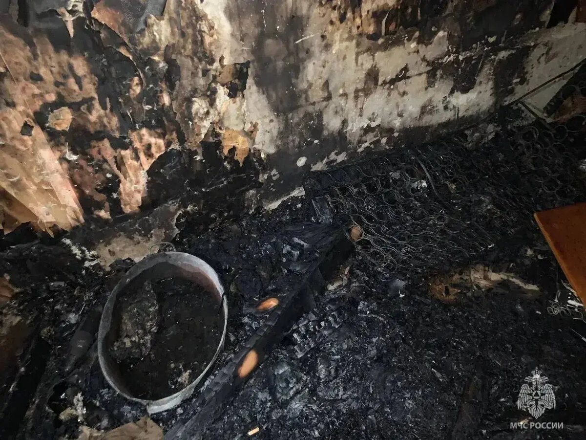    Фото: пресс-служба ГУ МЧС России по Петербургу.