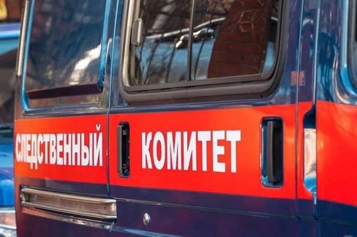    Опер Игнатов назвал версии исчезновения девочки в Смоленске