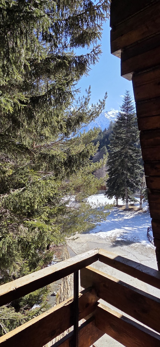 Солнечный вид из окна)