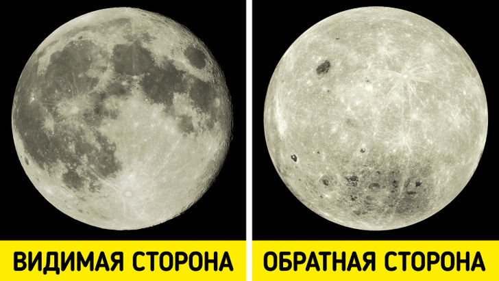 ПОЧЕМУ ОНИ ТАКИЕ РАЗНЫЕ?»