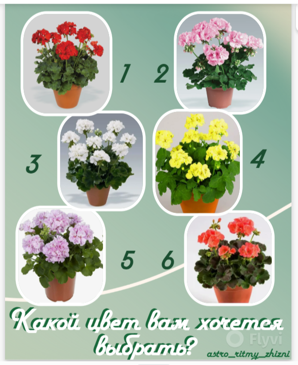 выбирайте по наитию