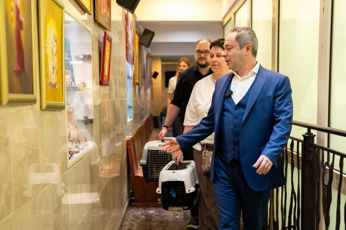 Вижу эвакуировали в Донецк, в приют АНО «Кошкин дом», а затем она стала частью труппы Театра кошек Куклачева. Фото: Александр Плонский / «Питомцы».