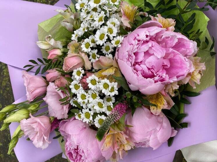     В этом году также выросли прямые поставки самолётами из Эквадора, Кении и Армении. Фото из архива "МК в Питере"