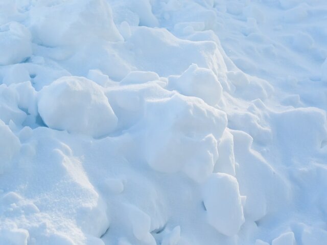    Фото: 123RF.com/jeka81