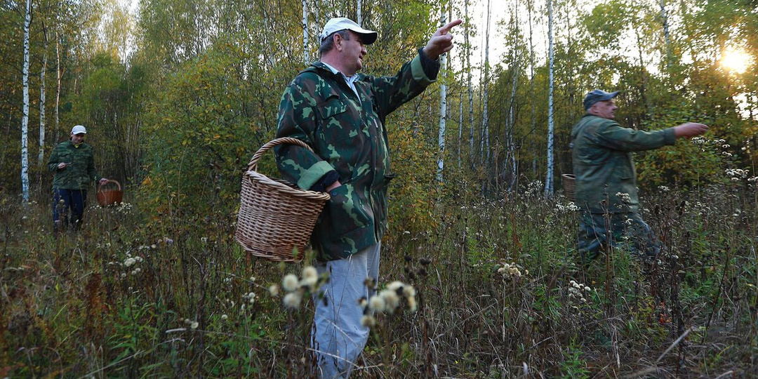 Почему в лесу нельзя идти рядом друг с другом, а нужно держать дистанцию минимум 3-4 метра