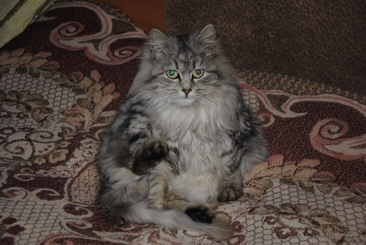    Фото: Пруфы