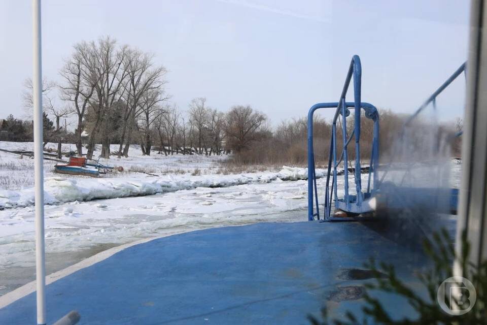    Фото: Матвей Горбунов/"Городские вести"