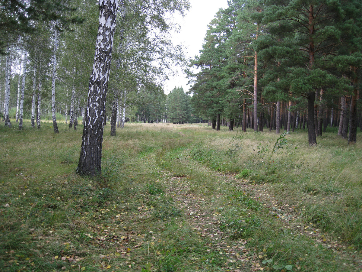 Ирина Л., канал "Ri Alex - жизнь за городом".