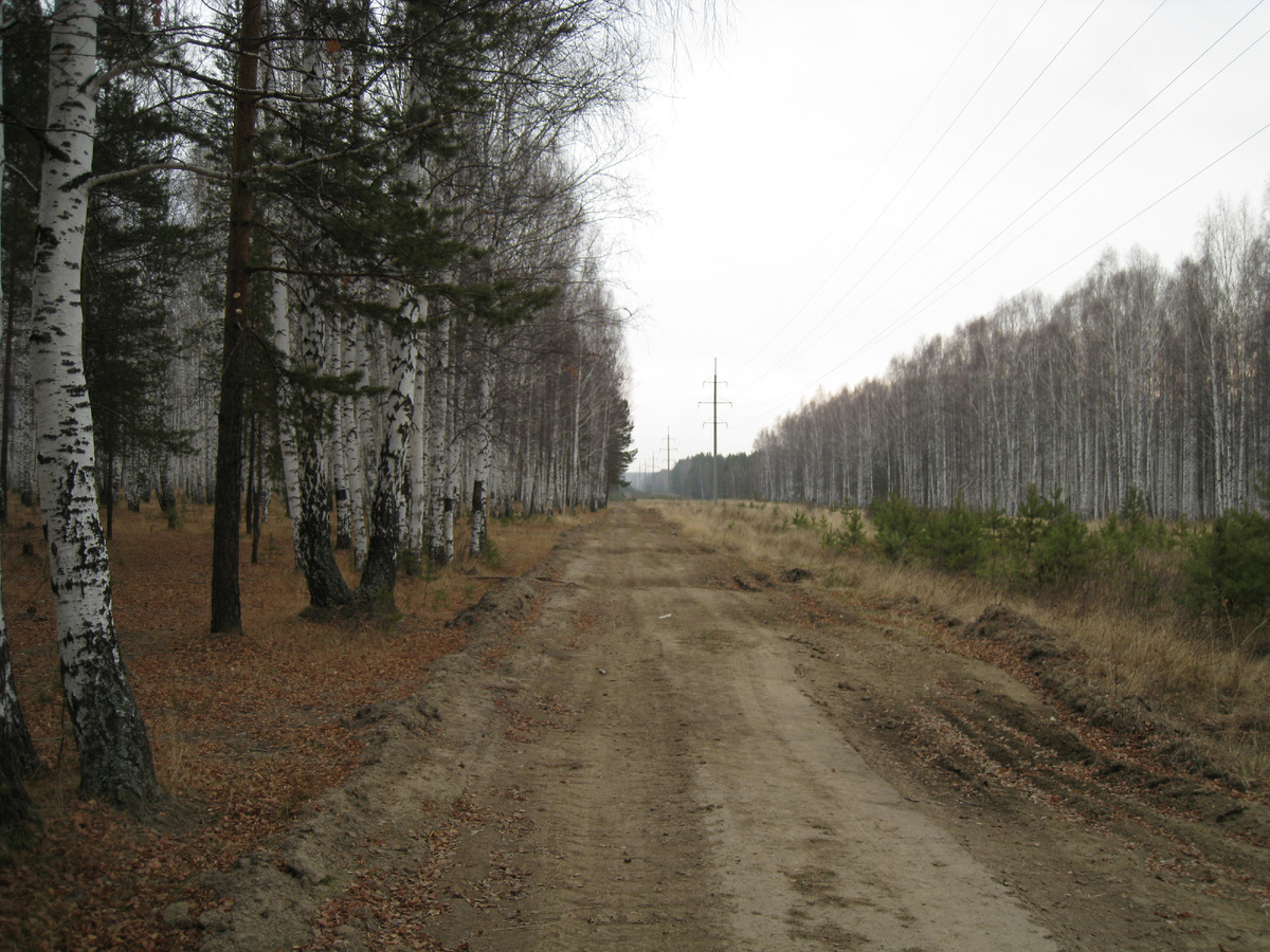 Ирина Л., канал "Ri Alex - жизнь за городом".