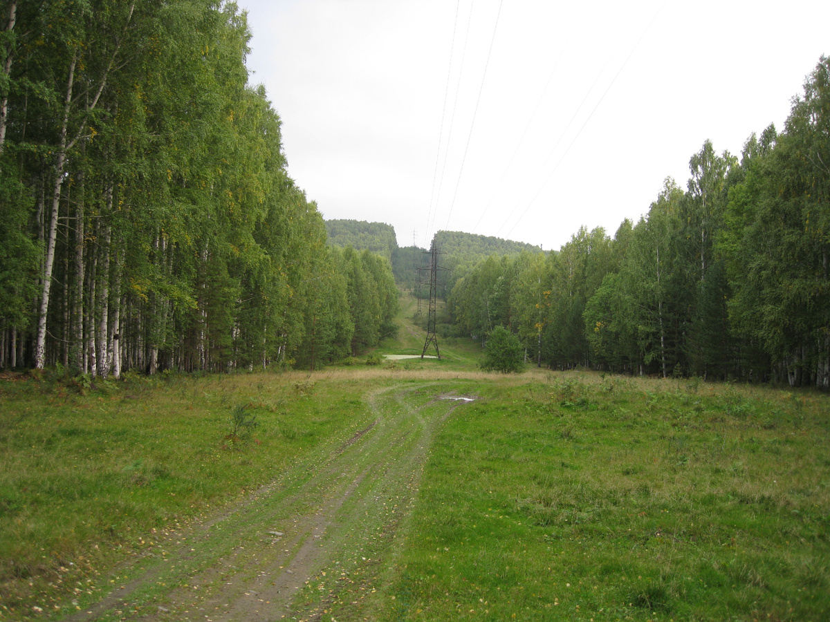 Ирина Л., канал "Ri Alex - жизнь за городом".