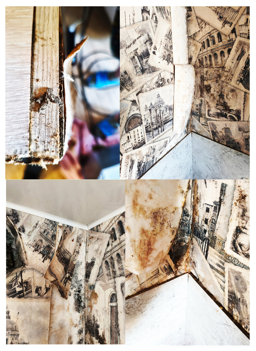 Фото из личного архива