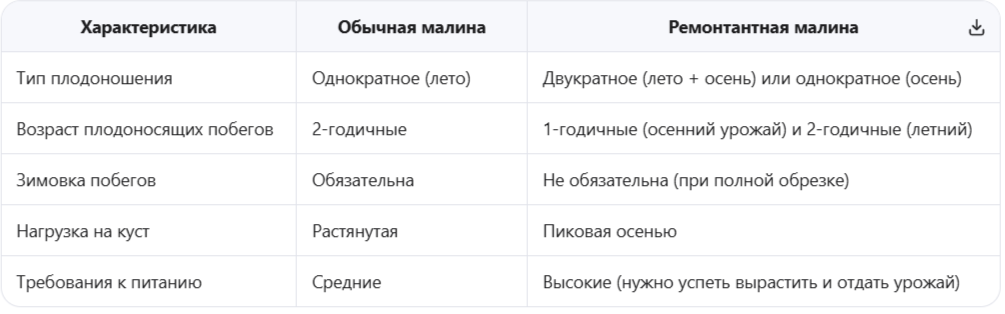 Сравнение циклов развития: